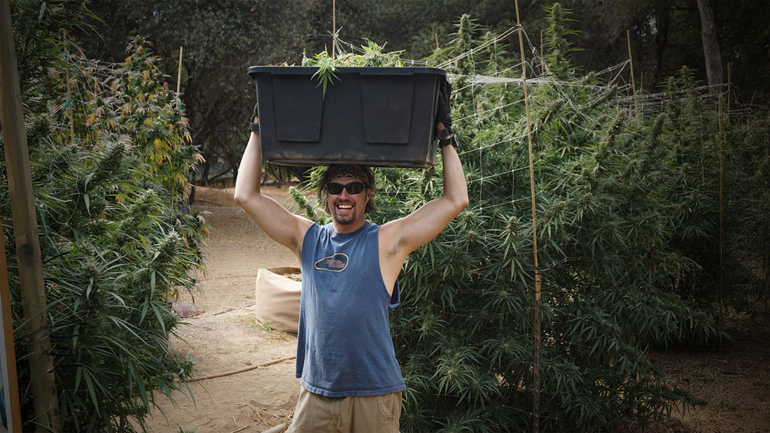Jeff Funk in a Garden