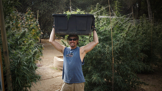 Jeff Funk in a Garden