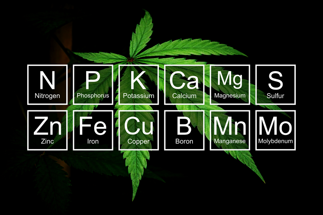 Cannabis plant nutrient deficiency chart - Jeff's visual diagnostic guide