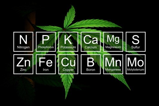 Cannabis plant nutrient deficiency chart - Jeff's visual diagnostic guide