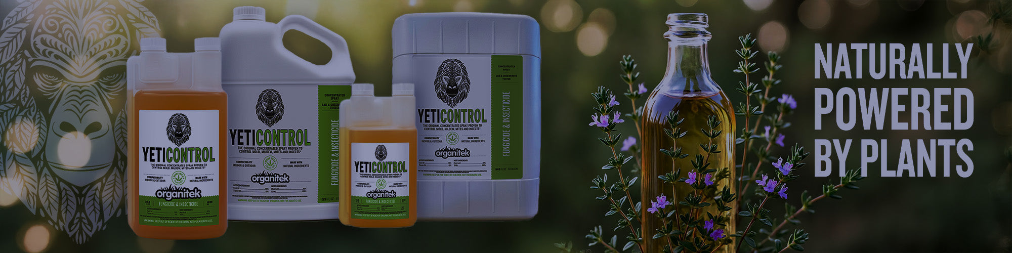 Insecticide & Fungicide