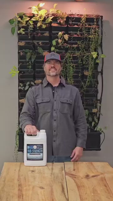 Bud Strength: Plant Life Cycle Essential Nutrients