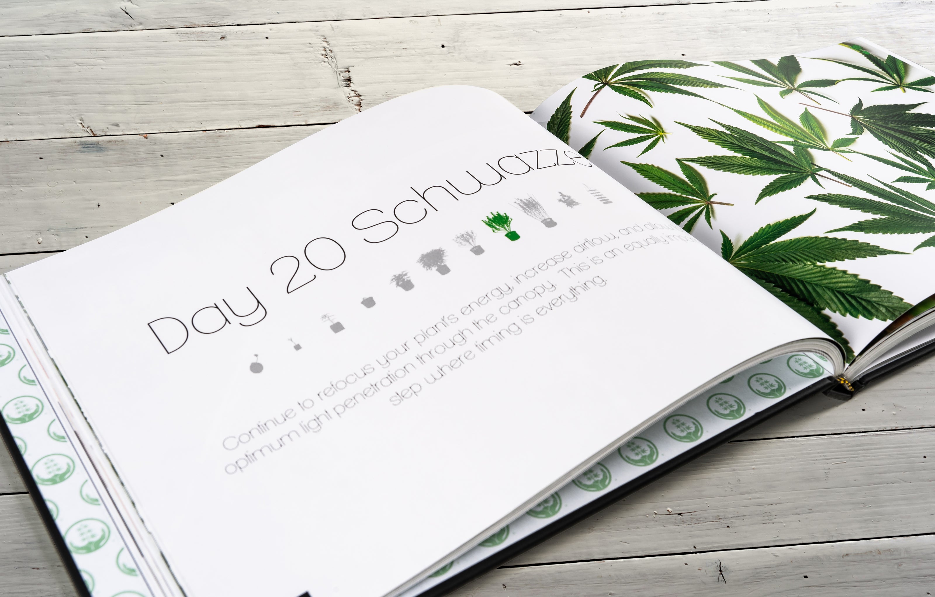 The Three A Light book offers details on how to schwazze and use the Success Nutrients program